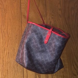 Purses with cleaning solution